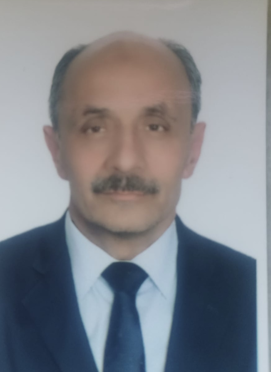 sabri-demiralp